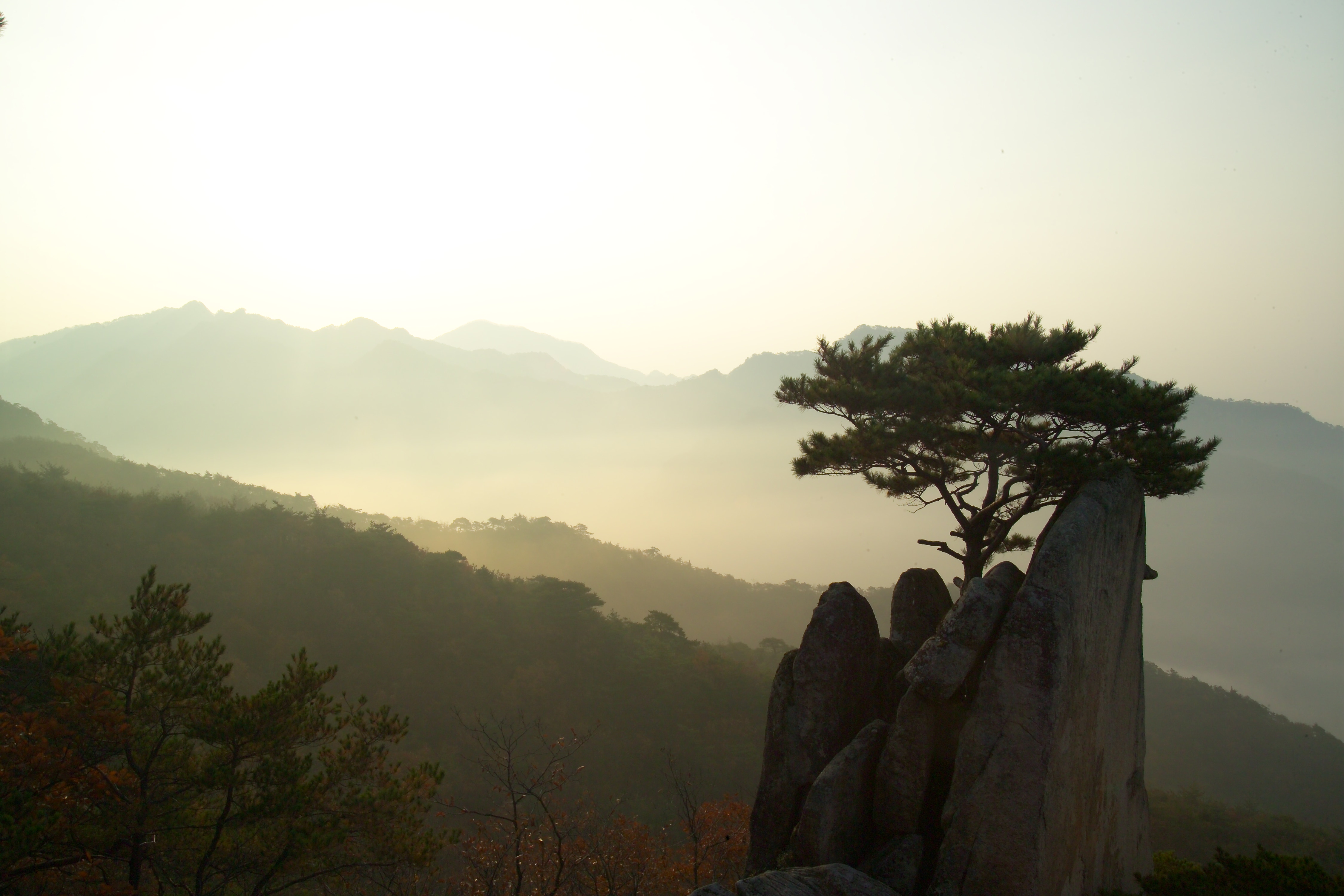 금수산